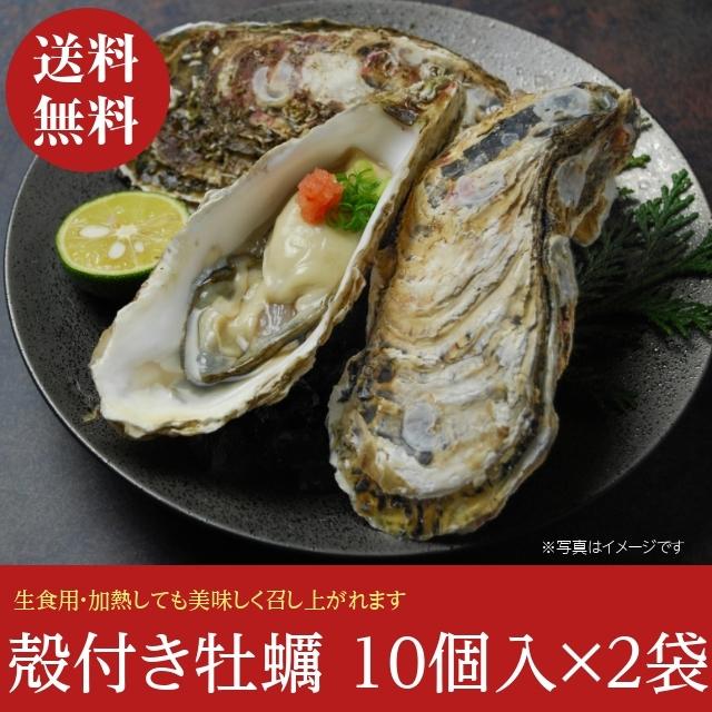 送料無料  生かき 生牡蠣 生食用 殻つき 10個入り2袋セット 冷凍