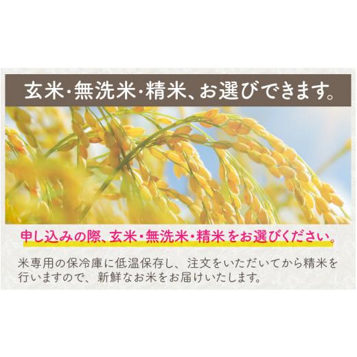 ふるさと納税 福井県 坂井市 福井県坂井市丸岡町産 コシヒカリ 計5kg（玄米）  [A-11302_02]