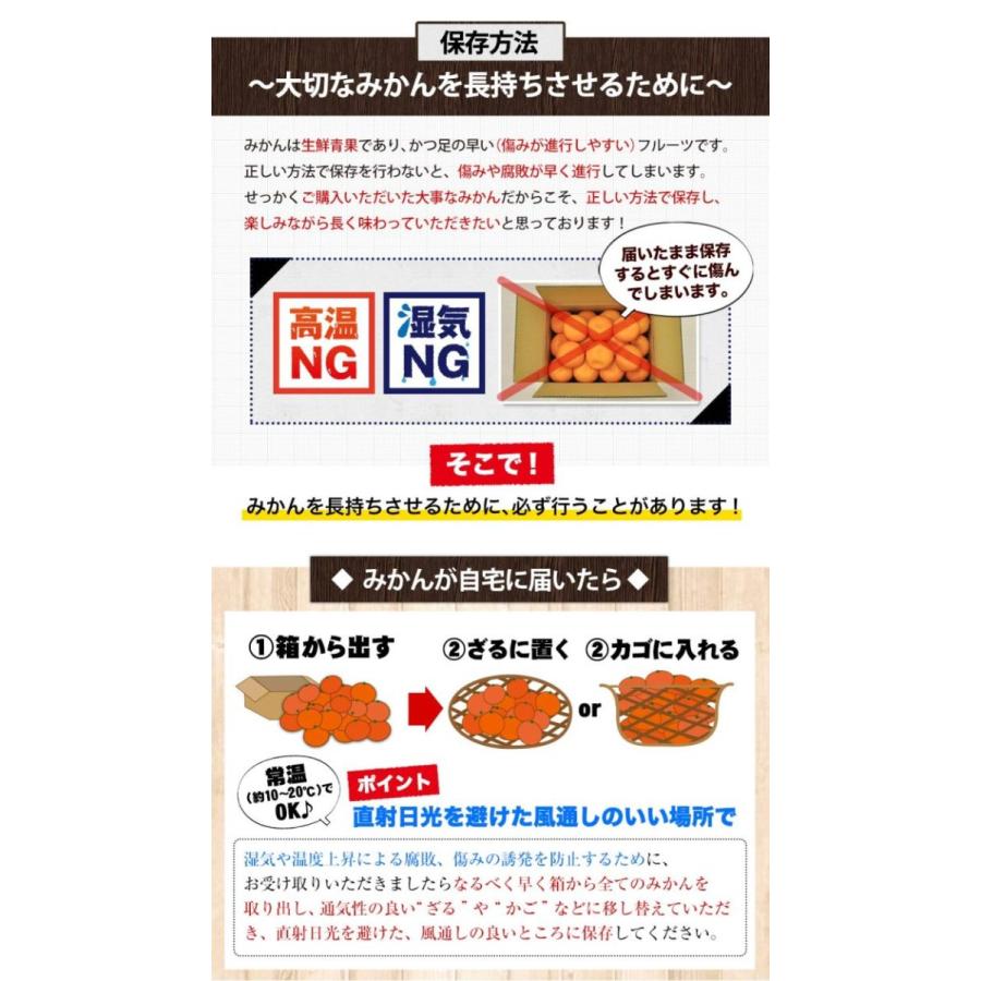 小玉 みかん 訳あり ご家庭用 送料無料 1.5kg 小粒 ミカン 柑橘 熊本 極早生 3s-sサイズ 家庭用 12月上旬〜12月下旬頃より発送予定