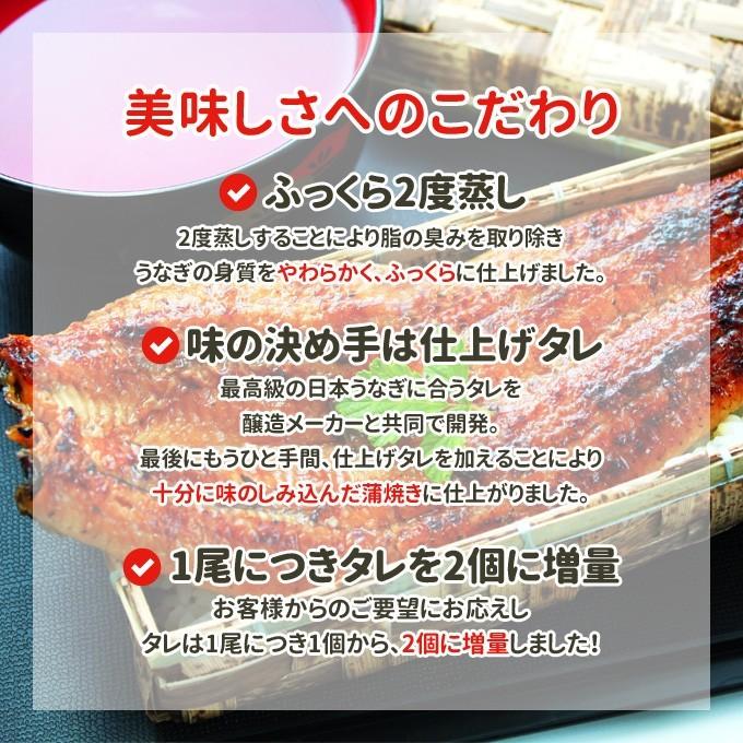 うなぎ 蒲焼 国産 送料無料 大型 約160g 1尾 ギフトボックス付 お取り寄せグルメ