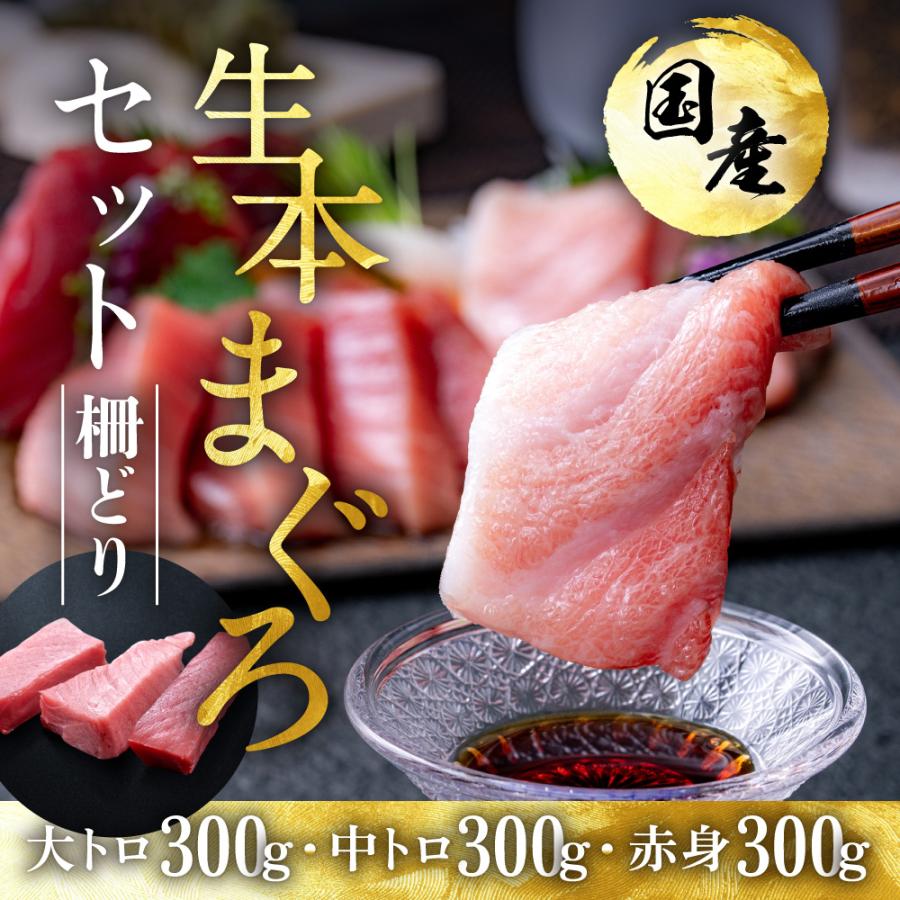 マグロ 本まぐろ 生まぐろ 国産生本マグロ 刺し身 冷蔵でお届け！大トロ 中トロ 赤身の食べ比べセット合計900グラム（各300g）お取り寄せ お歳暮 プレゼント