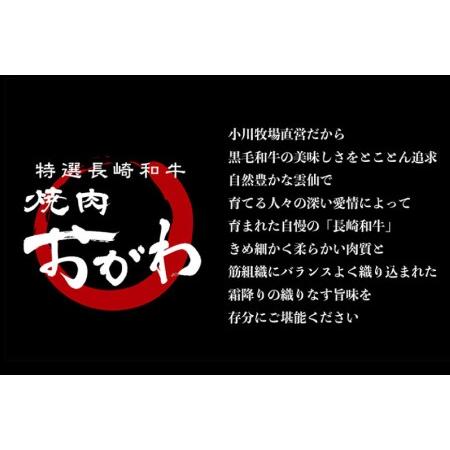 ふるさと納税 定期便 3回 牛肉 雲仙育ち おがわ牛 バラエティーセットB 総計4.5kg(1.5kg×3回) 黒毛和牛 冷凍   焼肉おがわ   長崎県 雲仙市 長崎県雲仙市