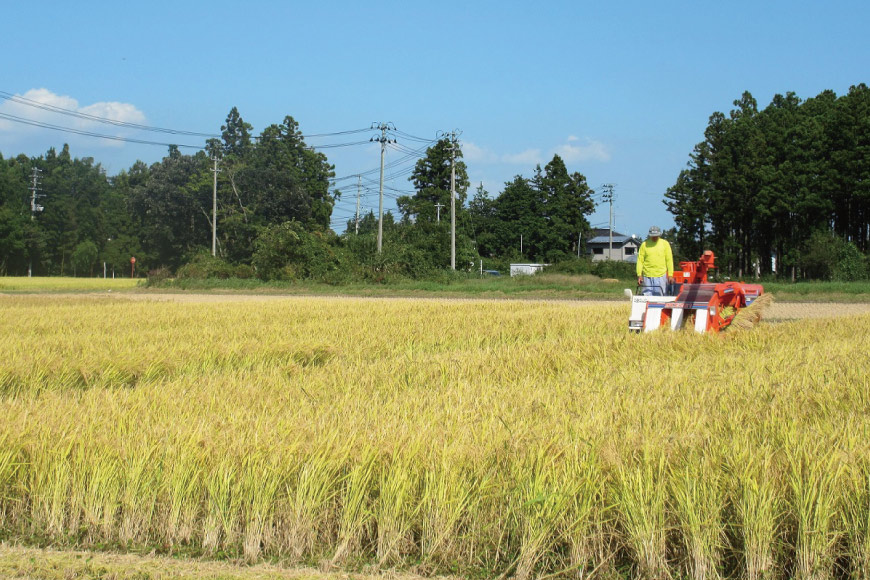 米 『定期便』厳選宮城ひとめぼれ 精米20kg 全3回 [菅原商店 宮城県 加美町 44580975]