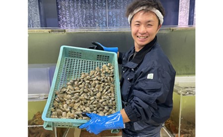 砂出し済み！ 北海道 厚岸産 北海あさり 2kgお届け (500g×4パック)  (各回2kg×3ヶ月分,合計約6kg)