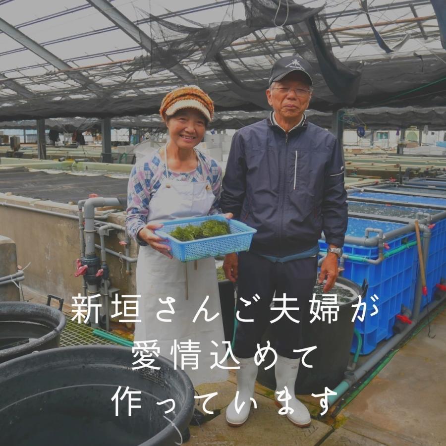 浦宜海ぶどう500ｇ