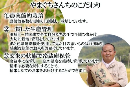 ＜ 予約 定期便 全12回 ＞ 北海道産 希少米 おぼろづき 玄米 計 10kg (5kg×2) ＜2024年10月より配送＞