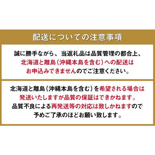 ふるさと納税 長崎県 南島原市 フルーツ定期便 旬のフルーツセット ／ いちご ビワ スイカ ぶどう アールスメロン 柑橘類 南島原市 ／ …