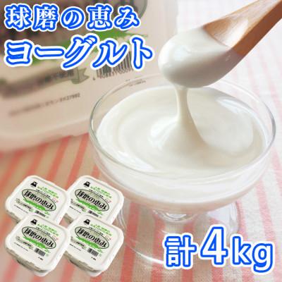 ふるさと納税 あさぎり町 とろ〜り食感　球磨の恵みヨーグルト 砂糖不使用タイプ 1kg×4パック