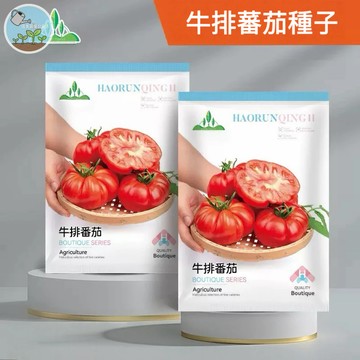 【原廠包裝】牛排番茄種子 大果多肉 切片做漢堡三明治必備 約100粒 陽台頂樓可種 自產安心吃 四季可種 陽台庭院