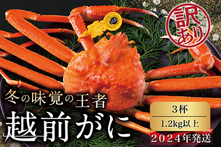 越前がに（オス）「ずわいがに」特特大サイズ（1.2kg以上） 訳あり 3杯