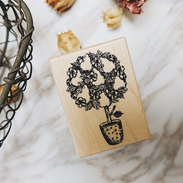 楓木印章-西洋梨盆栽 FT-4044