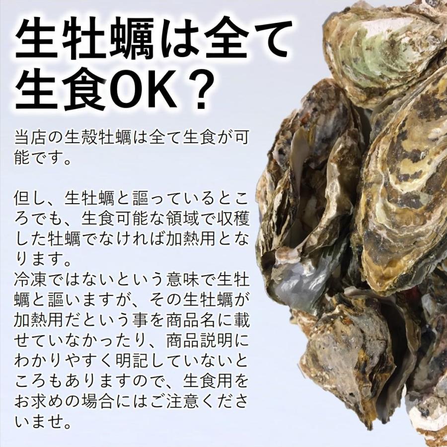 生食 OK カキ みちのく三陸産 殻付き生牡蠣 5kg 今季初出し 希少 ワケあり 亜鉛の摂取源No.1 新鮮 石巻 宮城 産地直送 ミネラル アミノ酸 タウリン セール 海鮮