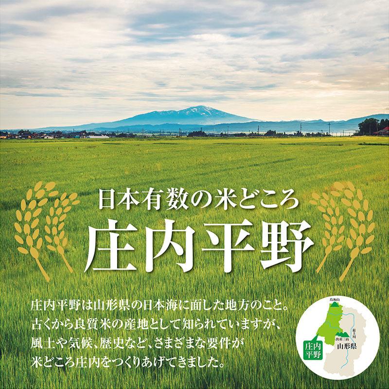 令和５年産 つや姫６kg（２kg×３袋）山形県の米どころ庄内平野で育った庄内米 送料無料