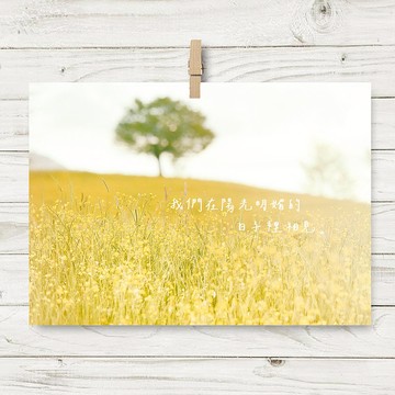 陽光相見/ 明信片 (O2)