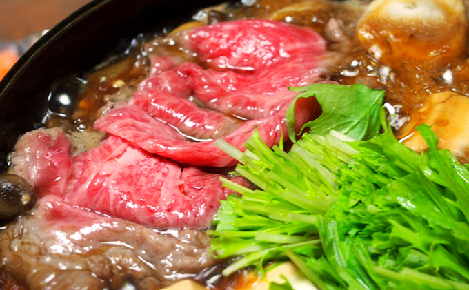 おかやま 和牛肉 A5 等級 満喫セット 合計約800g（サーロインステーキ 約450g＆すき焼・しゃぶしゃぶ用 ローススライス 約350g）牛 赤身 肉 牛肉 冷凍