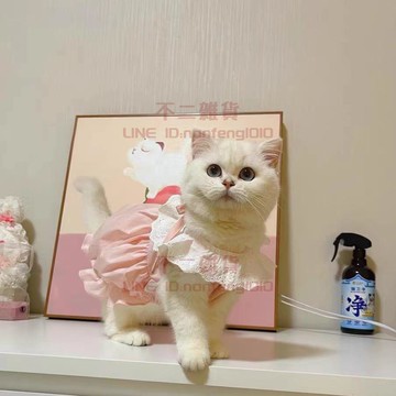 寵物衣服 貓咪狗狗可愛馬卡龍南瓜裙 春夏季外出衣服薄款防掉毛服飾【不二雜貨】