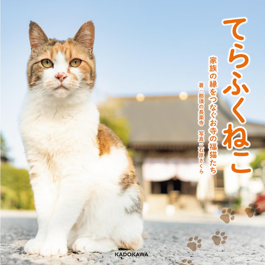 てらふくねこ 家族の縁をつなぐお寺の福猫たち