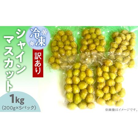 ふるさと納税 冷凍シャインマスカット約1kg（約200g×5パック） 茨城県下妻市