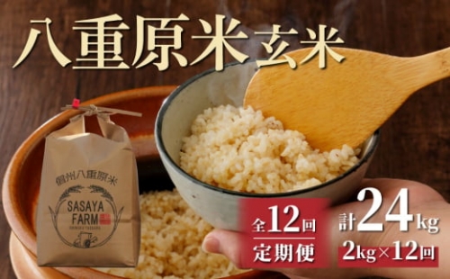八重原米2kg（2kg×1袋）玄米