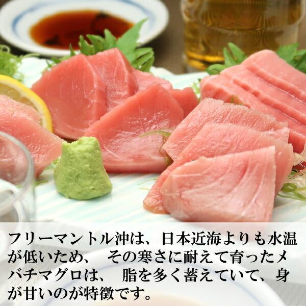 送料無料　メバチマグロ中トロ 4人前