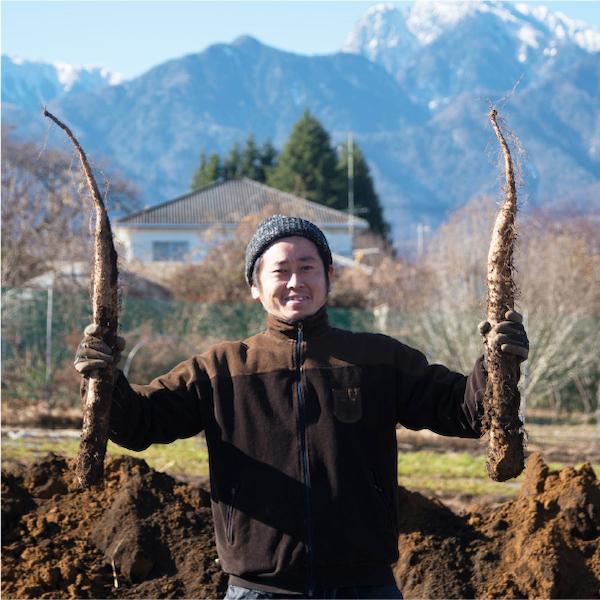 八ヶ岳のとろろそばセット 冬掘りシャキシャキ 無農薬 信州そば 長芋 そばつゆ 諏訪 長野 山梨