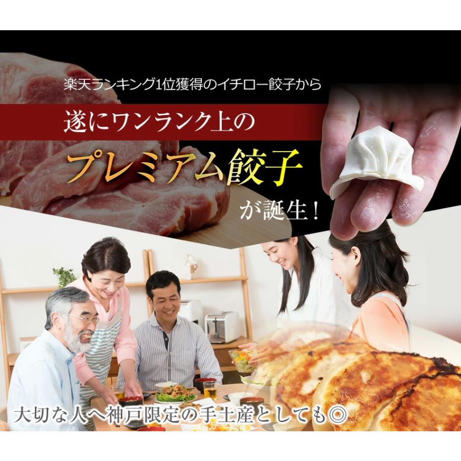 餃子専門店イチロー 神戸のブランド豚 神戸ポークプレミアム味噌だれ餃子15個セット 餃子 ぎょうざ お取り寄せ  ポークプレミアム15個 