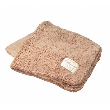 alphax M.O.Fwa極暖輕量雙面毯 咖啡色 155x80cm 一個  1入