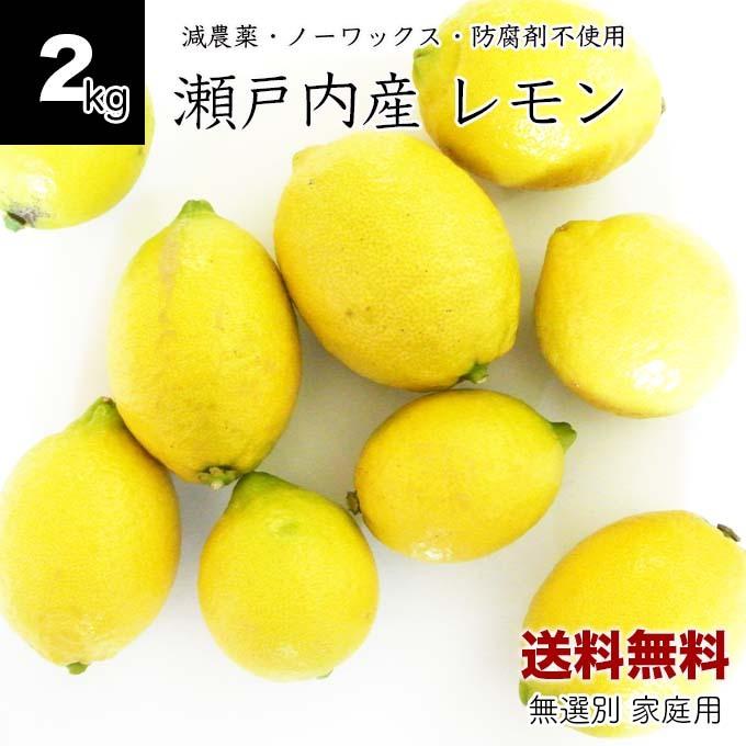 広島県産　徳さんのレモン2kg 国産レモン　送料無料　減農薬　訳あり　瀬戸内レモン　ノーワックス 防腐剤不使用 家庭用