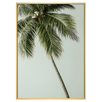 Boluo 菠蘿選畫所 掛畫  40 x 30cm  慵懶的棕櫚 綠色