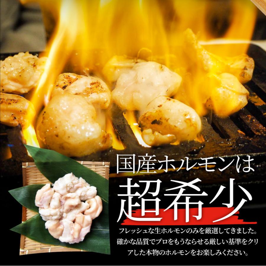 国産牛 ホルモン 240g ほるもん 小腸 焼肉用 お得 焼肉 やきにく アウトドア お家焼肉 レジャー 冷凍