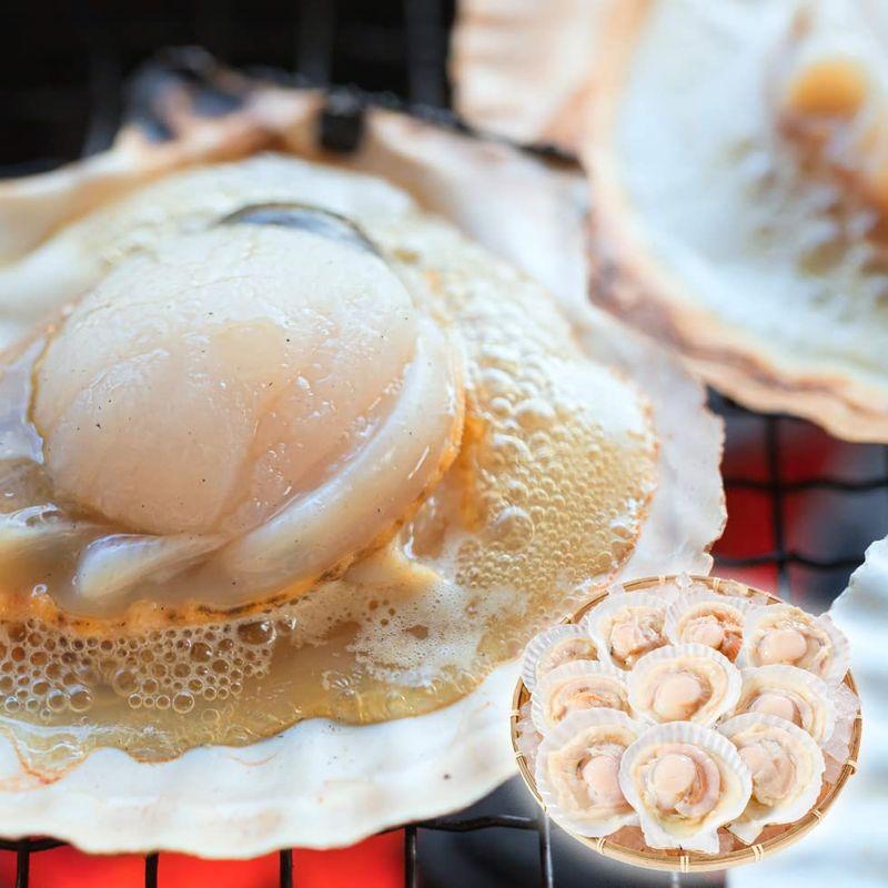 片貝付き ほたて 10枚 北海道産 バーベキュー BBQ