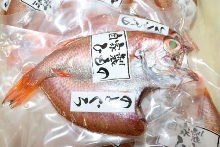 日本海の高級魚 のどぐろ 干物 5尾／ ビール 焼き魚 おつまみ 魚介類 海の幸 国産 個包装 お取り寄せ