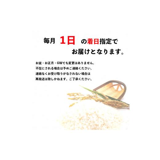 ふるさと納税 京都府 綾部市 京都府産コシヒカリ 白米 10kg×3回 定期便 お米 米 白米 精米 こしひかり 国産 京都 綾部