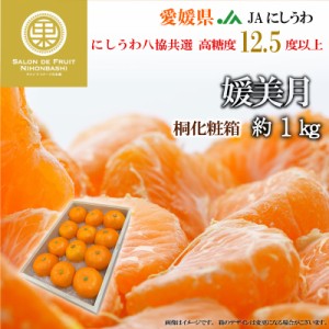 [予約 2023年 12月11日から12月20日のご納品] 媛美月 約1kg 桐箱 愛媛県産 JAにしうわ八協共選