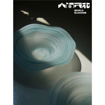 人間開花 原創青綠色云霧霧面波浪玻璃磨砂家用沙拉碗果盤Y