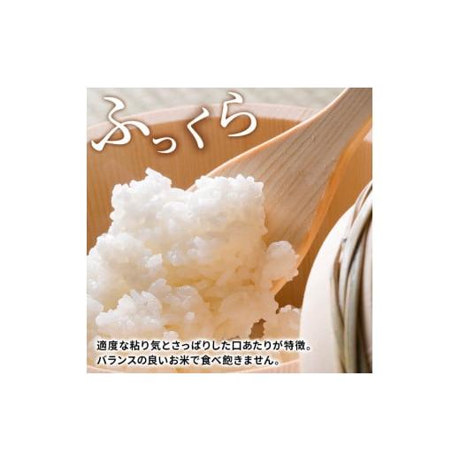 ふるさと納税 秋田県 にかほ市 〈定期便〉 ひとめぼれ 白米 10kg（5kg×2袋）×6回 計60kg 6ヶ月 令和5年 精米 土づくり実証米 毎年11月より 新米 出荷