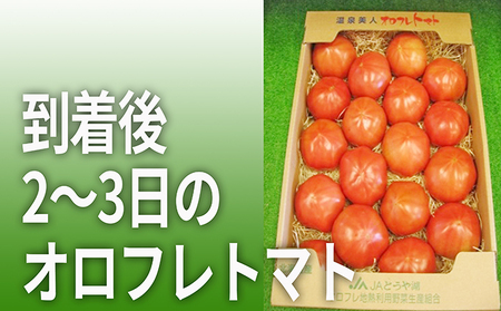 ＜2024年3月上旬より順次お届け＞北海道壮瞥産 オロフレトマト24玉入り（Mサイズ）  野菜 トマト 産地直送 夏 旬 旬の野菜 とまと 季節商品 先行予約