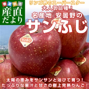 長野県産 JAあづみ 安曇野 サンふじ 約3キロ （8玉から10玉） 送料無料 りんご 林檎 市場発送