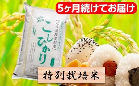 特別栽培米★[定期便] 5カ月★毎月 白米５kg 