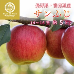 [予約 2023年11月1日-11月30日の納品] サンふじ 14-16玉 大玉 約 5kg りんご長野 青森県産 さんふじ 果実専用箱 秋ギフト 冬ギフト お歳