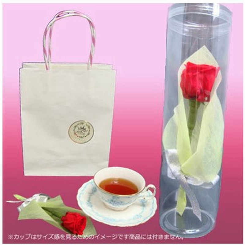 バラ一輪挿し 透明ケース入り バラ 一輪 プリザーブドフラワー ギフト バラ 花 結婚祝い 誕生日 プレゼント 結婚記念日 母の日 ホワイトデー ギフト お返し 通販 Lineポイント最大get Lineショッピング