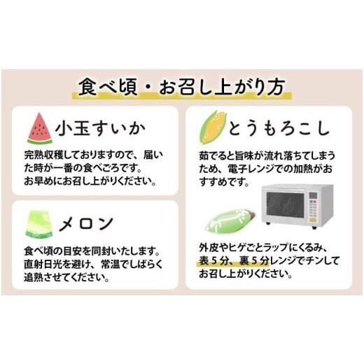 ふるさと納税 福井県 あわら市 ≪定期便／全3回≫フルーツ王国あわらのこだわり5品 農家直送 厳選品／ 期間限定 果物 フルーツ 青肉メロン 赤肉メ…