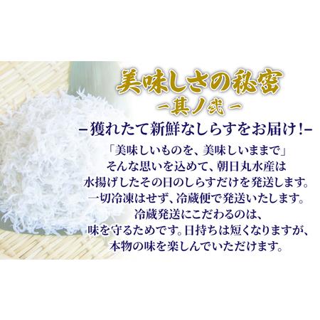 ふるさと納税 釜揚げ しらす 800g 国産 徳島県産 和田島産 とれたて 新鮮 産地直送 冷蔵 発送 小分け 200g 4袋 セット 和田島しらす ちりめん .. 徳島県小松島市