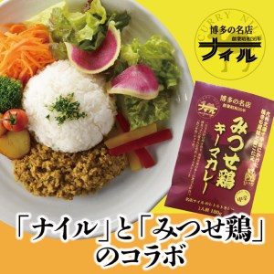 DR002_博多の名店ナイル　みつせ鶏キーマカレー１０パックセット