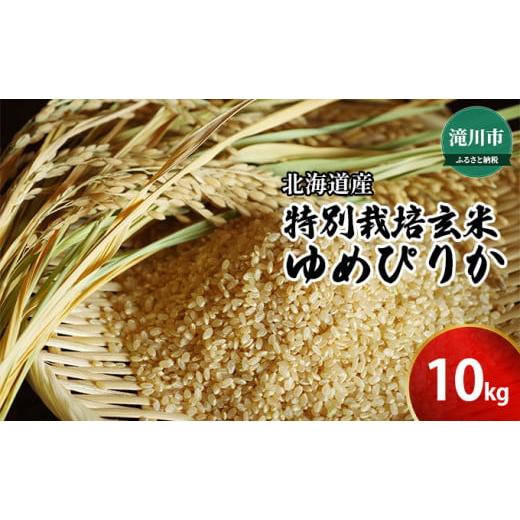 ふるさと納税 北海道 滝川市 北海道産特別栽培玄米ゆめぴりか 10kg｜北海道 滝川市 特別栽培 特別栽培米 お米 米 ご飯 玄米 ゆめ…