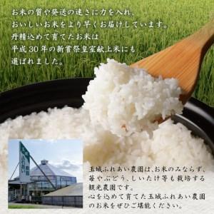 ふるさと納税 令和5年産米 三重県産コシヒカリ20kg×3ヶ月 新嘗祭皇室献上米農家 三重県玉城町