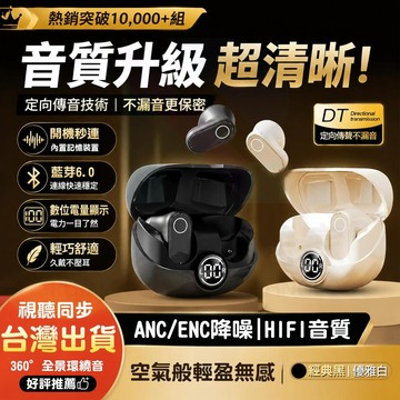 德國柏林之音藍芽耳機 入耳式重低音藍芽耳機6.0 長續航運動通勤藍牙耳機 AI智能數顯 降噪通話大音量 勁電數顯電競耳機