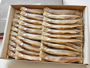 シシャモ オス (30尾)×1箱 北海道産 柳葉魚一夜干