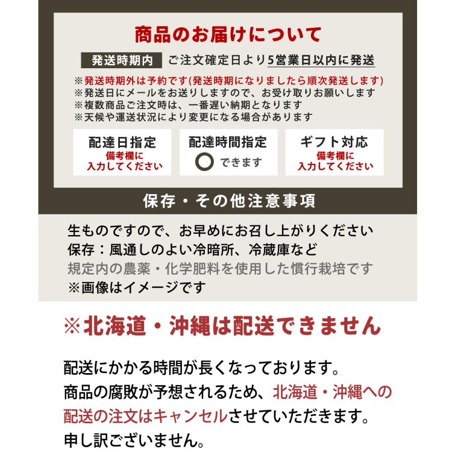 有田みかん 特選 5kg ／ 送料無料 温州みかん KS 有田 みかん ミカン ギフト 贈答