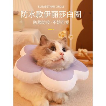 寵物伊麗莎白圈貓咪伊利沙白防舔咬幼貓頭套恥辱項圈脖圈絕育用品